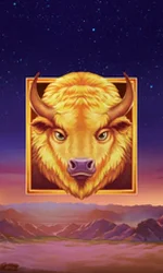 Buffalo's Sun 2