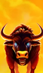 Big Wild Buffalo 2